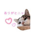 大宮軍団（個別スタンプ：1）
