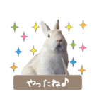 Ranmaru Tube -保護うさぎ蘭丸- vol.1（個別スタンプ：9）