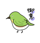 鳥！とり！トリ！（個別スタンプ：4）