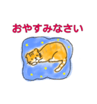 茶とら猫の日常スタンプ（個別スタンプ：14）