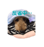 B〜T（個別スタンプ：2）