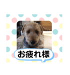B〜T（個別スタンプ：7）