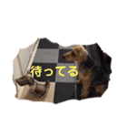 B〜T（個別スタンプ：8）