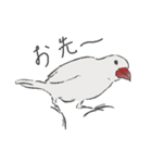 自由な文鳥（個別スタンプ：15）