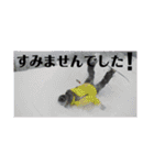 まーちゃんスタンプ❤️❤️❤️❤️（個別スタンプ：12）