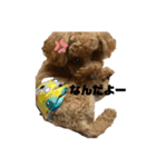 こちゃとあぢゅとはぁちゃん（個別スタンプ：7）