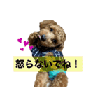 こちゃとあぢゅとはぁちゃん（個別スタンプ：14）