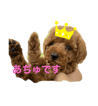 こちゃとあぢゅとはぁちゃん（個別スタンプ：15）