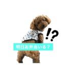 こちゃとあぢゅとはぁちゃん（個別スタンプ：35）