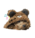 こちゃとあぢゅとはぁちゃん（個別スタンプ：38）