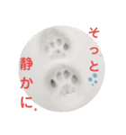 画像stamp 4（個別スタンプ：1）