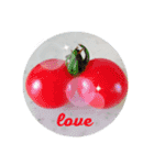 画像stamp 4（個別スタンプ：3）