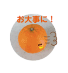 画像stamp 4（個別スタンプ：5）