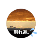 画像stamp 4（個別スタンプ：11）