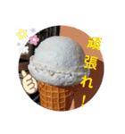 画像stamp 4（個別スタンプ：13）