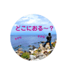画像stamp 4（個別スタンプ：15）