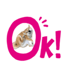 14.はな（個別スタンプ：1）