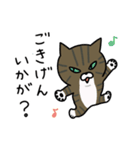 元野良猫のまめ（個別スタンプ：9）