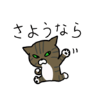 元野良猫のまめ（個別スタンプ：11）