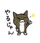 元野良猫のまめ（個別スタンプ：18）