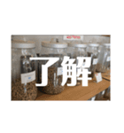 ケイズゲーム（個別スタンプ：7）