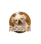 シド くん 2（個別スタンプ：2）