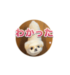 シド くん 2（個別スタンプ：3）