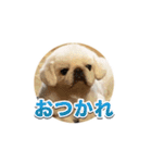 シド くん 2（個別スタンプ：4）
