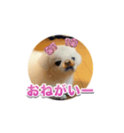 シド くん 2（個別スタンプ：5）