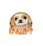 シド くん 2（個別スタンプ：6）