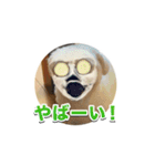 シド くん 2（個別スタンプ：9）