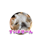 シド くん 2（個別スタンプ：10）