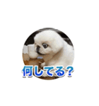 シド くん 2（個別スタンプ：11）