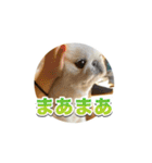 シド くん 2（個別スタンプ：12）