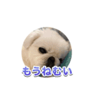 シド くん 2（個別スタンプ：13）