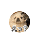 シド くん 2（個別スタンプ：14）