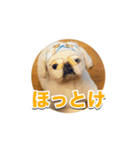 シド くん 2（個別スタンプ：15）