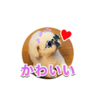 シド くん 2（個別スタンプ：16）