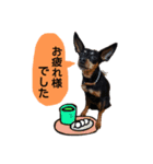 ラッキーの日常☆（個別スタンプ：6）