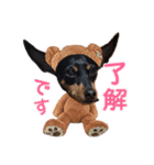 ラッキーの日常☆（個別スタンプ：7）