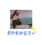 しゅっちゃん 敬語（個別スタンプ：4）