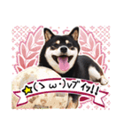 黒柴犬の♡サッカー応援♡スタンプ01（個別スタンプ：34）