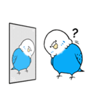 Bebe budgerigar 1 (オウム.鳥.tori)（個別スタンプ：10）