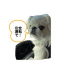 はくまいくん02（個別スタンプ：4）