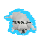 はくまいくん02（個別スタンプ：6）