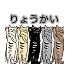 集団ねこ達の日常応答スタンプ（個別スタンプ：10）