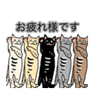 集団ねこ達の日常応答スタンプ（個別スタンプ：11）