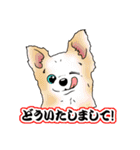 キュートすぎる犬（個別スタンプ：2）