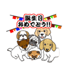 キュートすぎる犬（個別スタンプ：6）