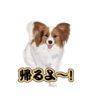 キュートすぎる犬（個別スタンプ：24）